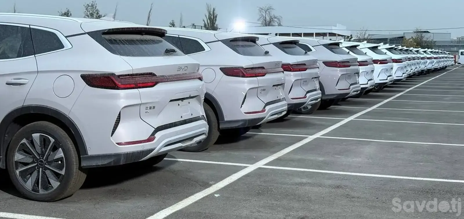 BYD Song Plus, 2025