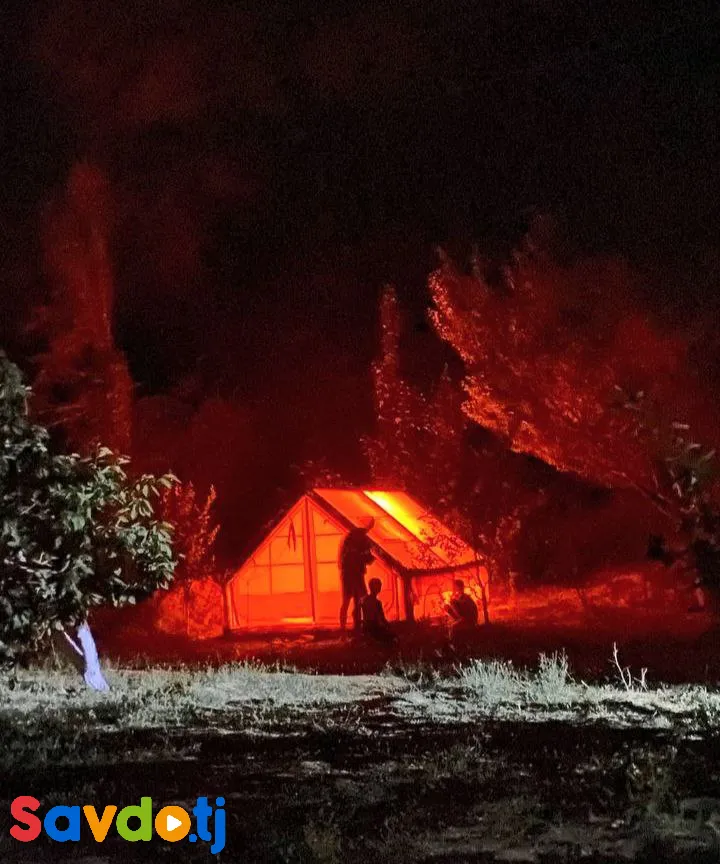 сдается дача в ширкентском ущелье 