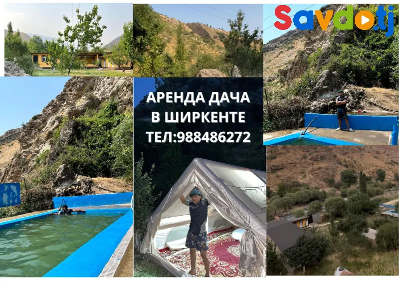 сдается дача в ширкентском ущелье 