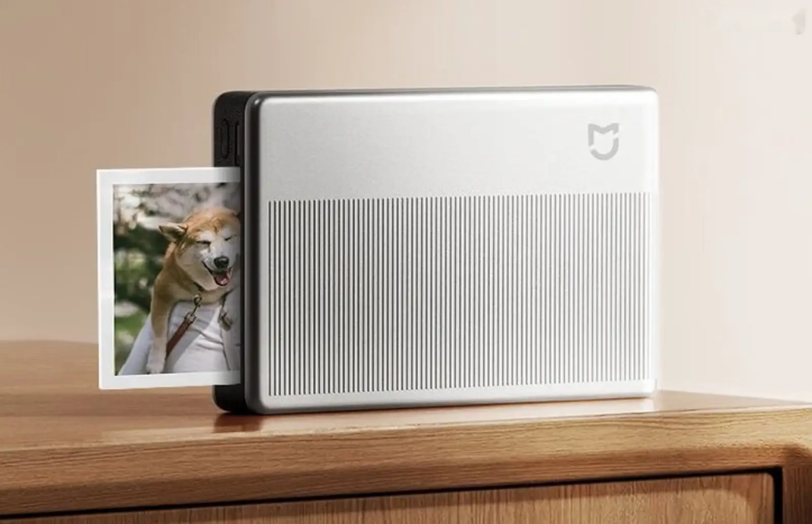 Портативный фотопринтер Xiaomi Portable Photo Printer 1S серебристый — фото 2