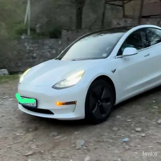 Tesla Model 3 2021