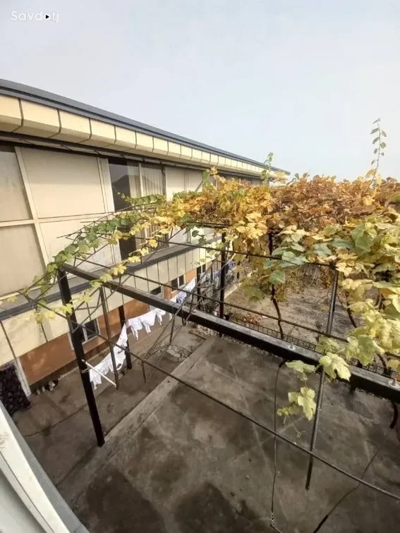2 этажный, 11-комн. дом, 500 м², 57 соток, Сино