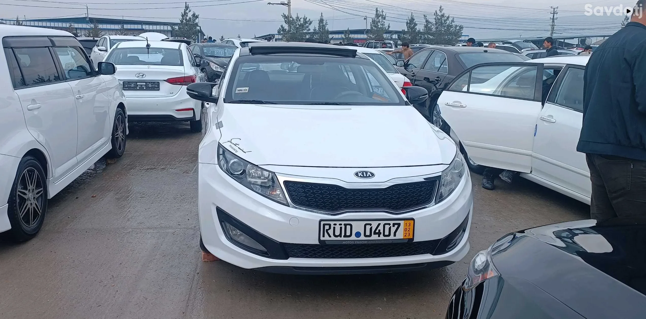 Kia K series 2010