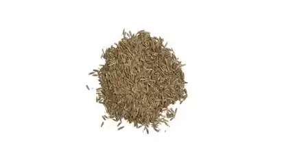Тухми Газон Grass Mixture 