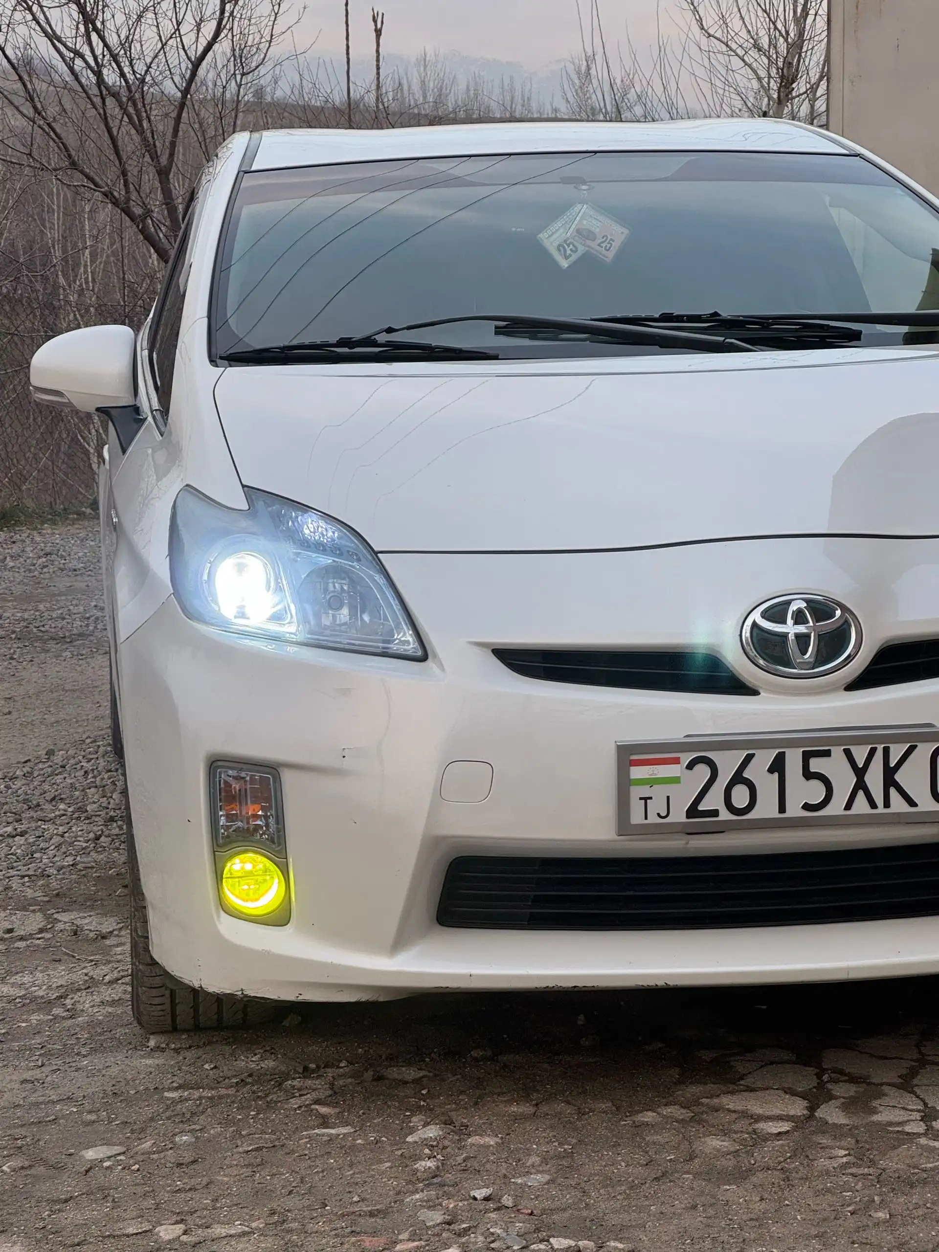 Toyota Prius 2010