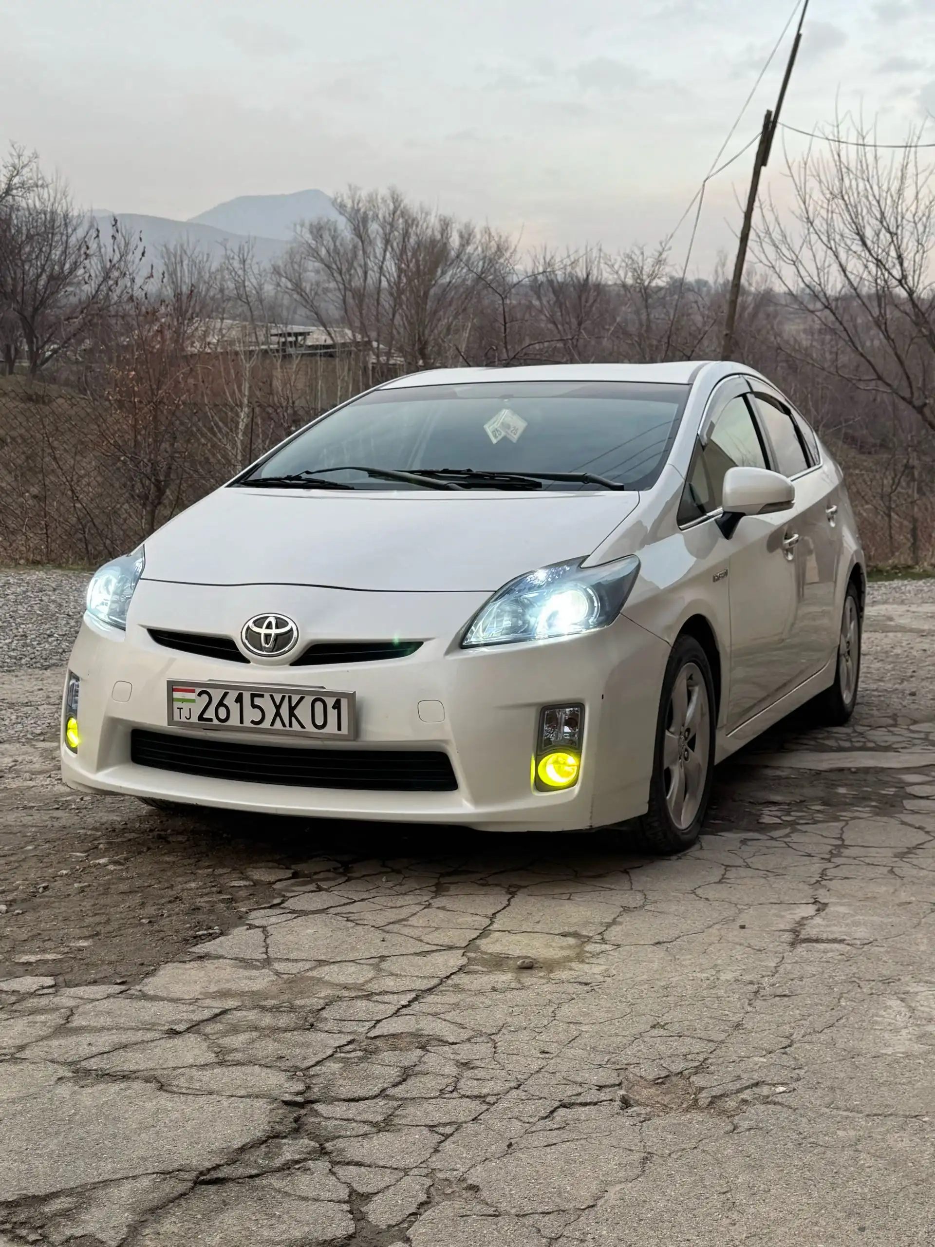 Toyota Prius 2010