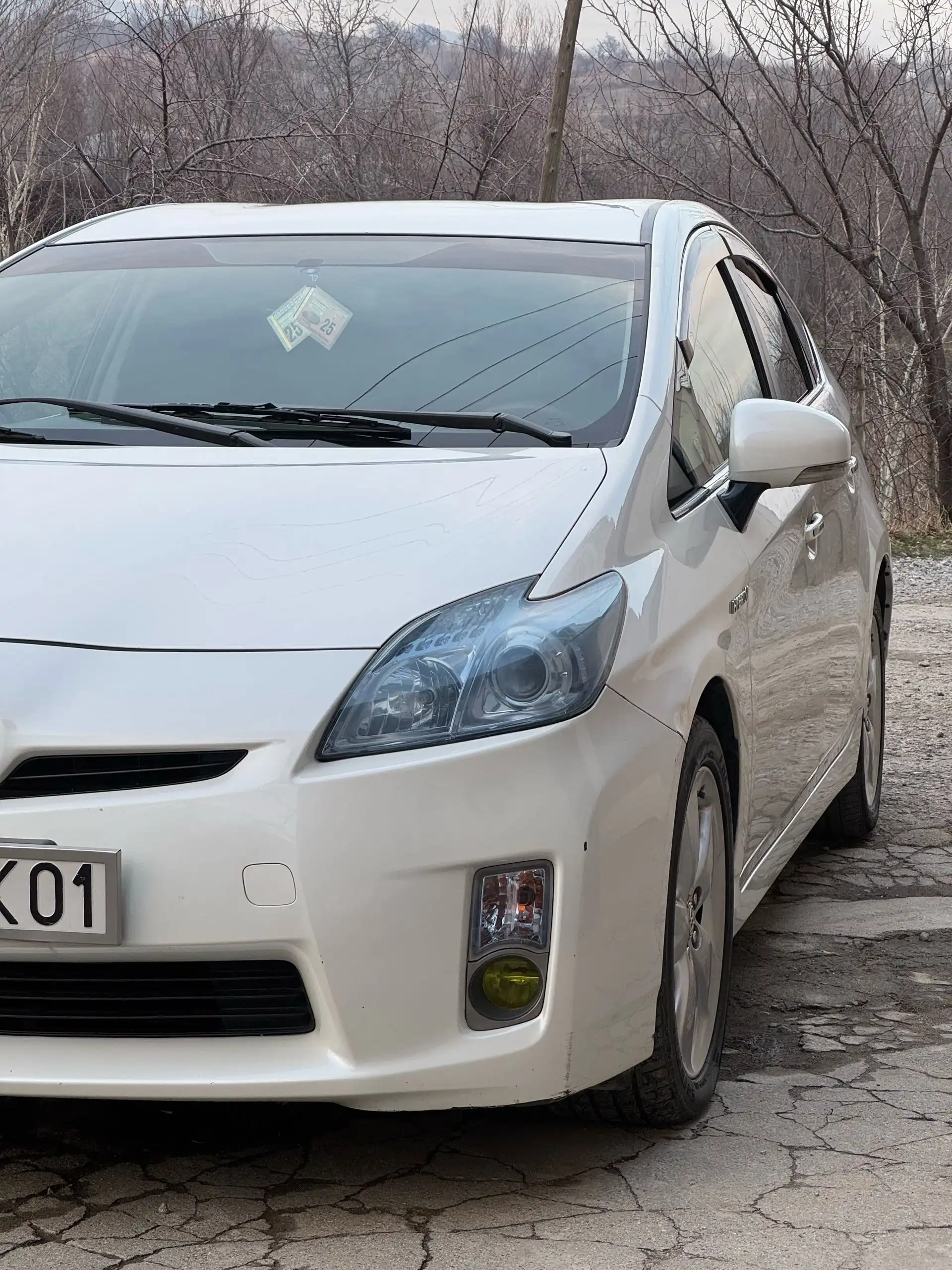 Toyota Prius 2010