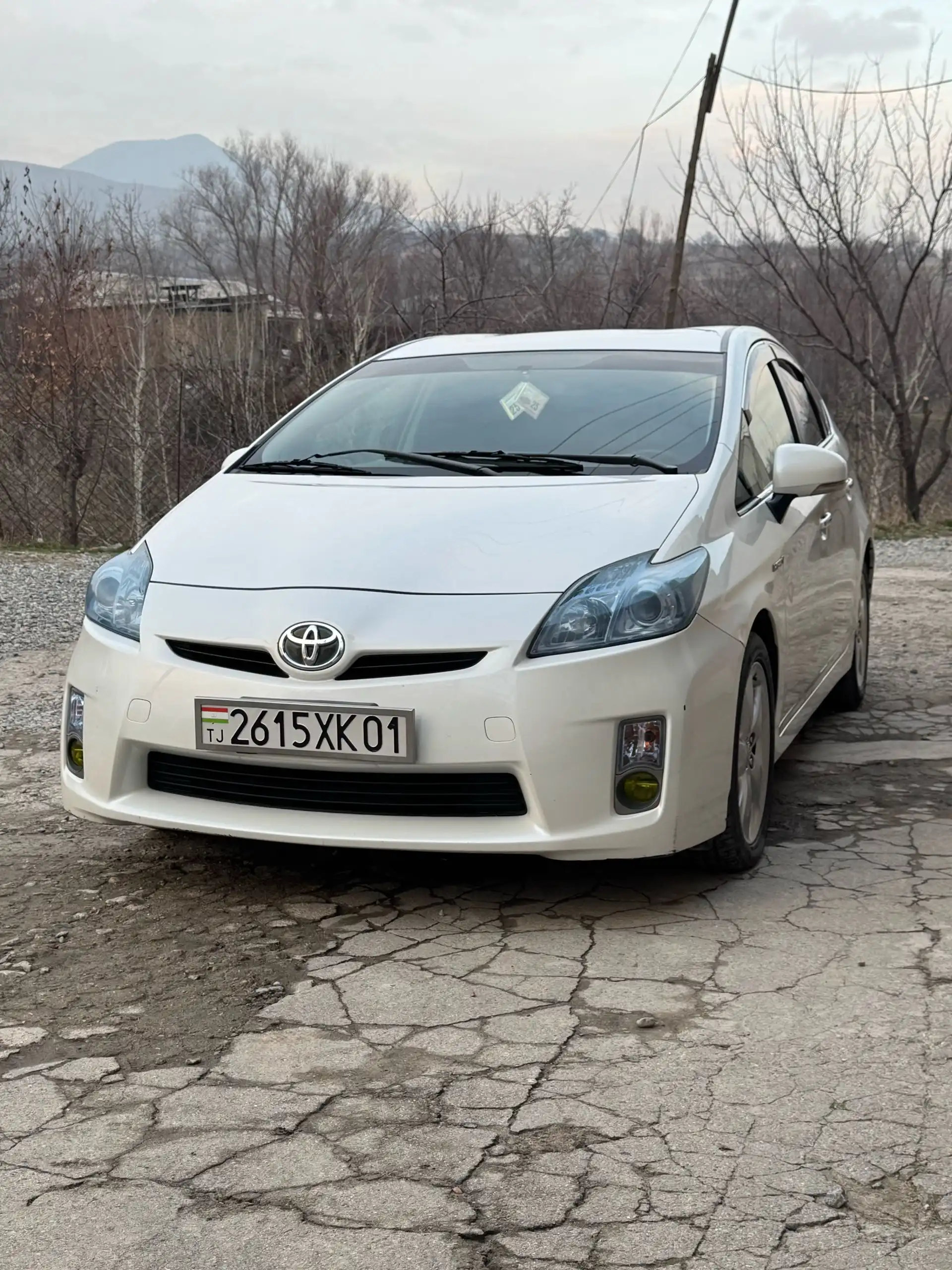 Toyota Prius 2010
