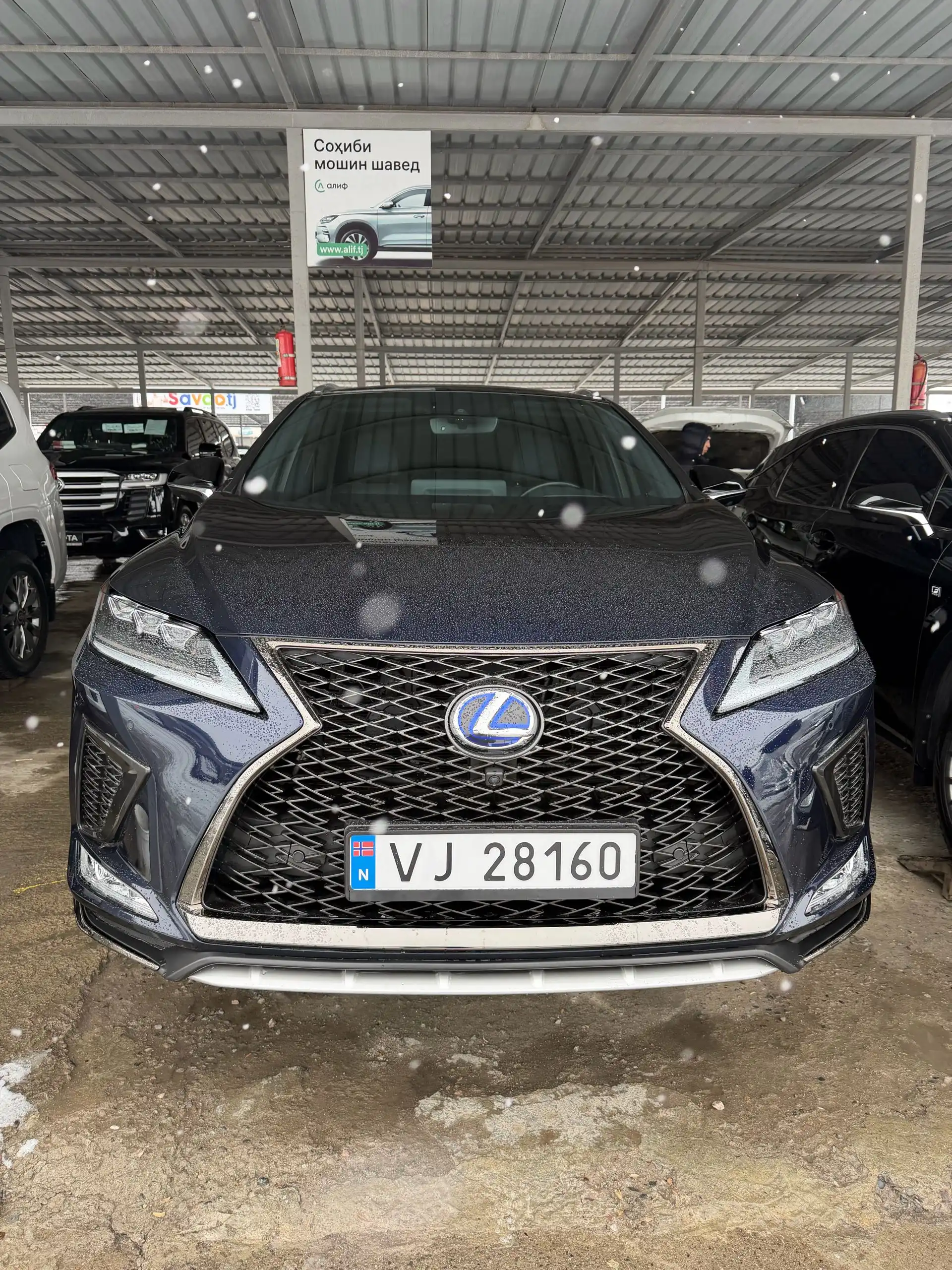 Lexus Rx series 2022