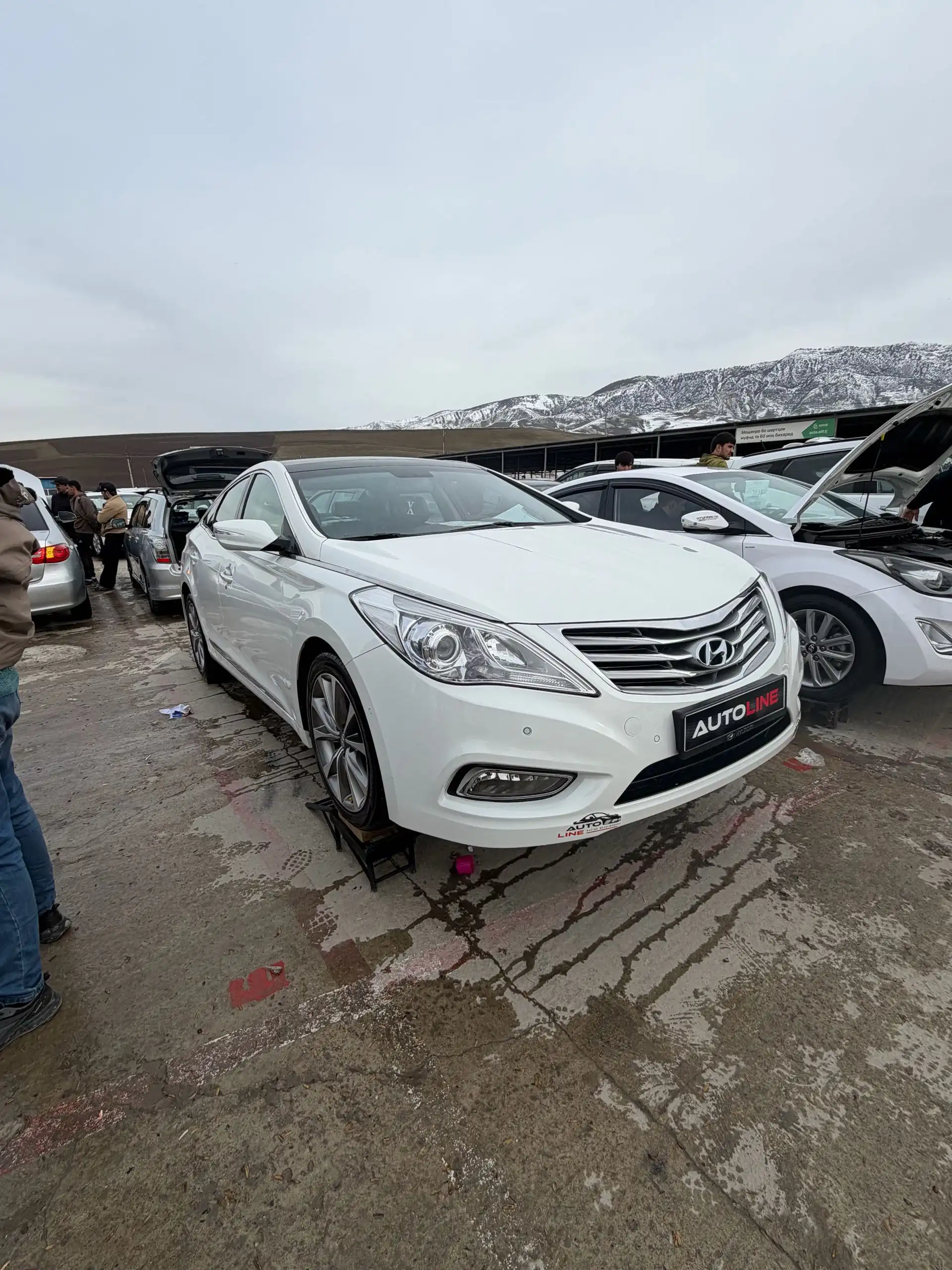 Hyundai Sonata 2013