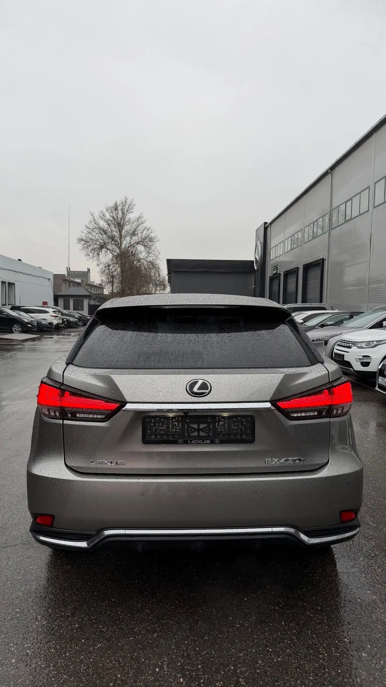 Lexus Rx series 2020