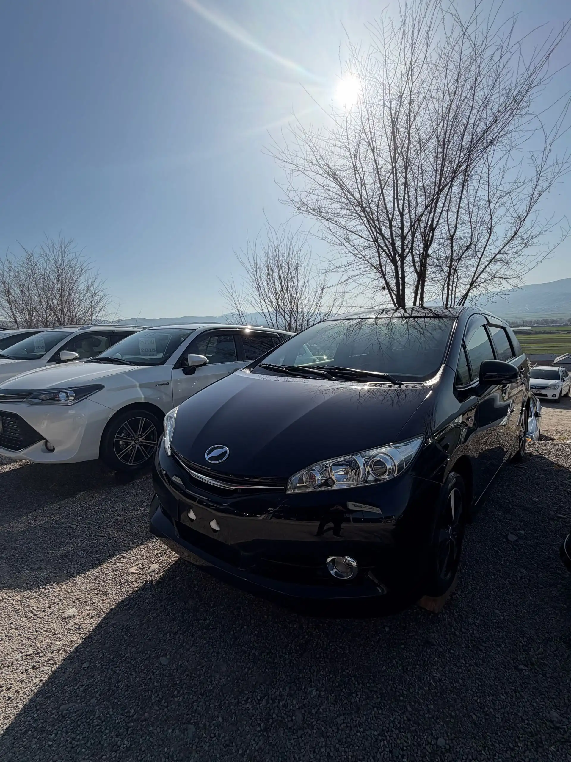 Toyota Vitz 2014