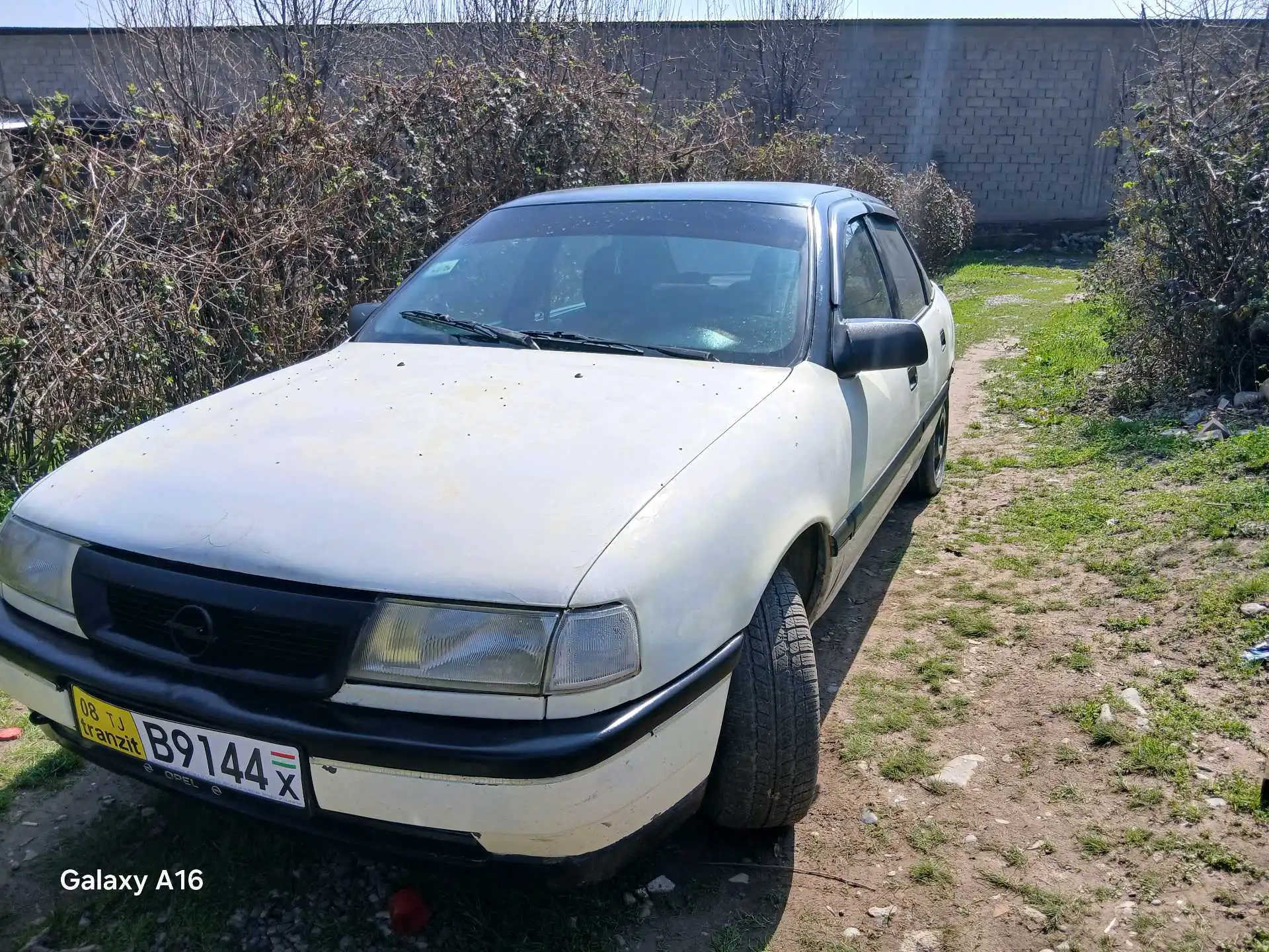 Opel Vectra a 1992