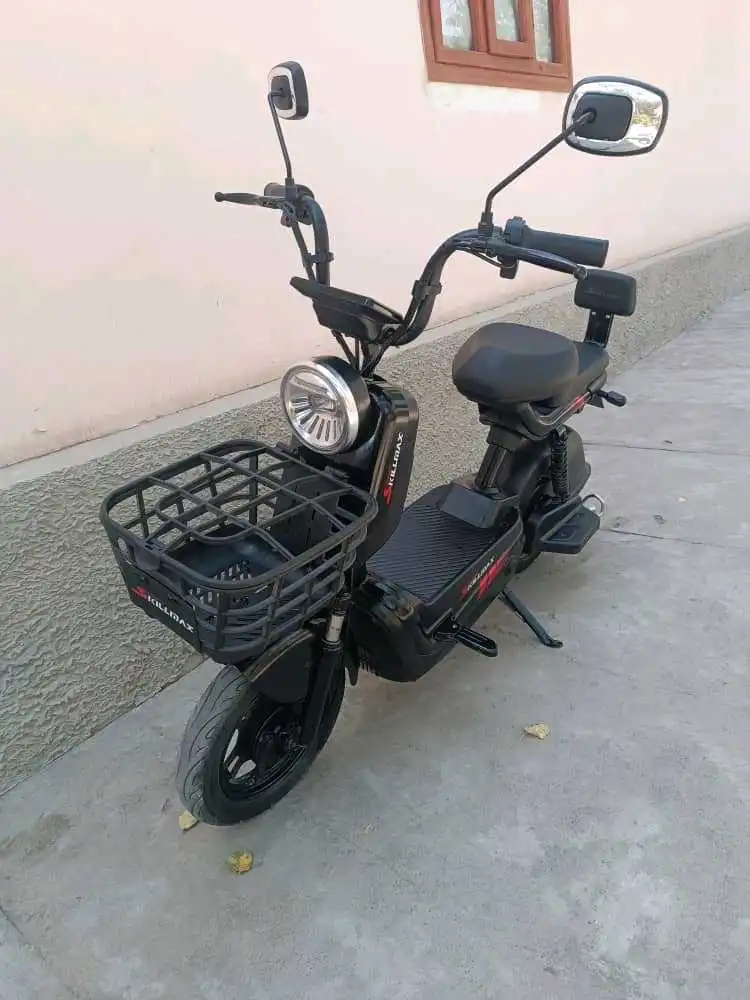 Скутер Skilmax