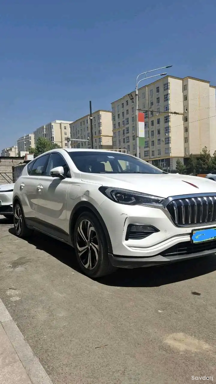 Hongqi E-HS3 2020