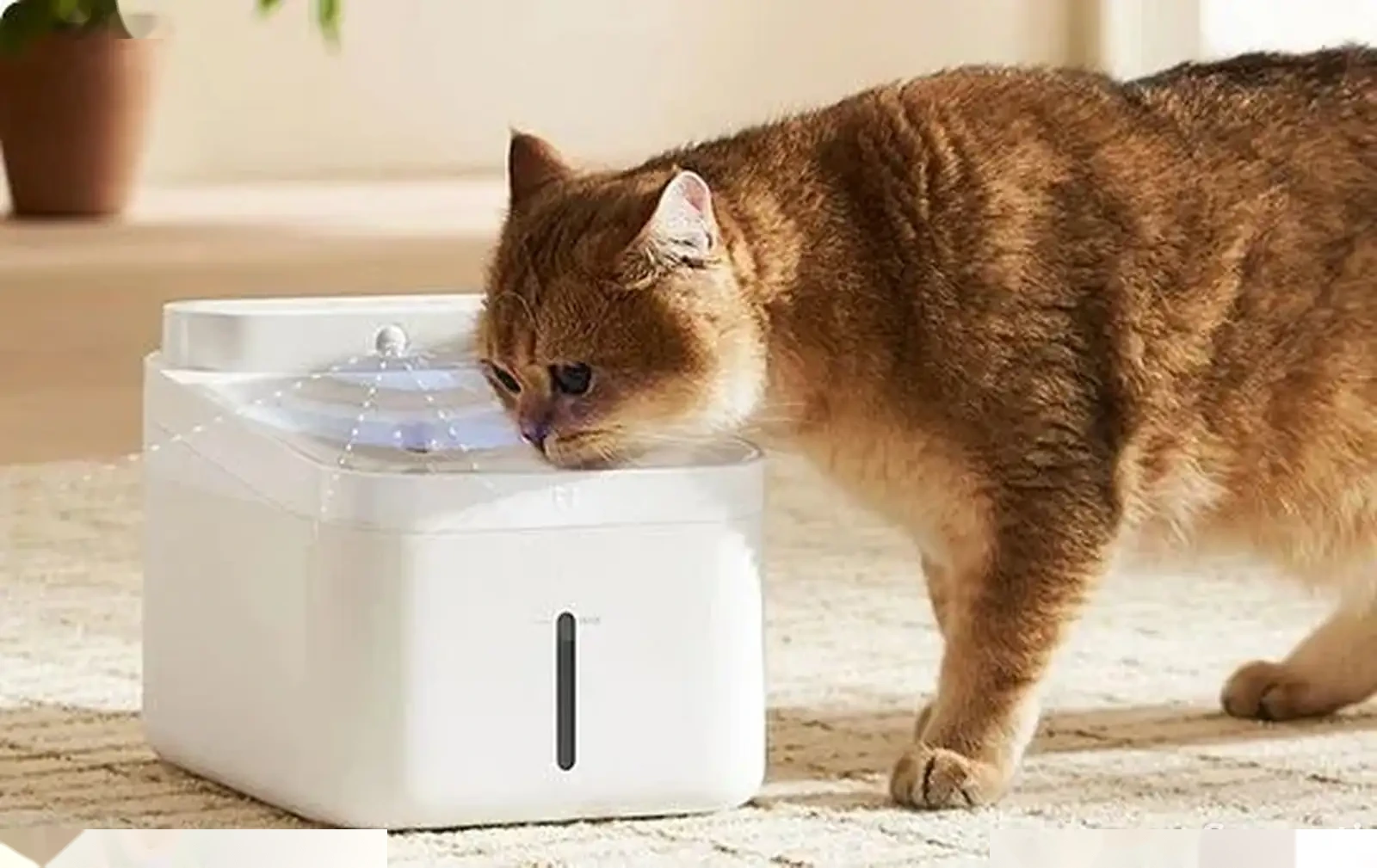 Умная поилка для животных от Xiaomi Pet Water Dispenser 2