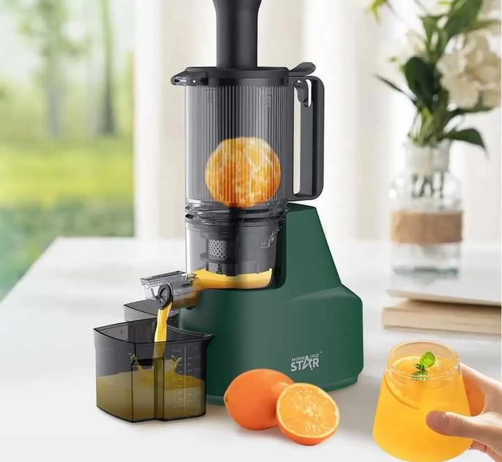Соковыжималка wining star-st1003