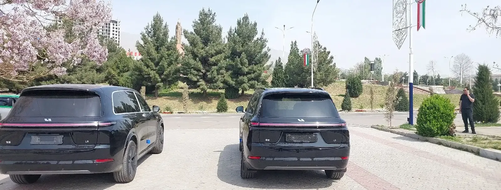 LiXiang L9, 2025
