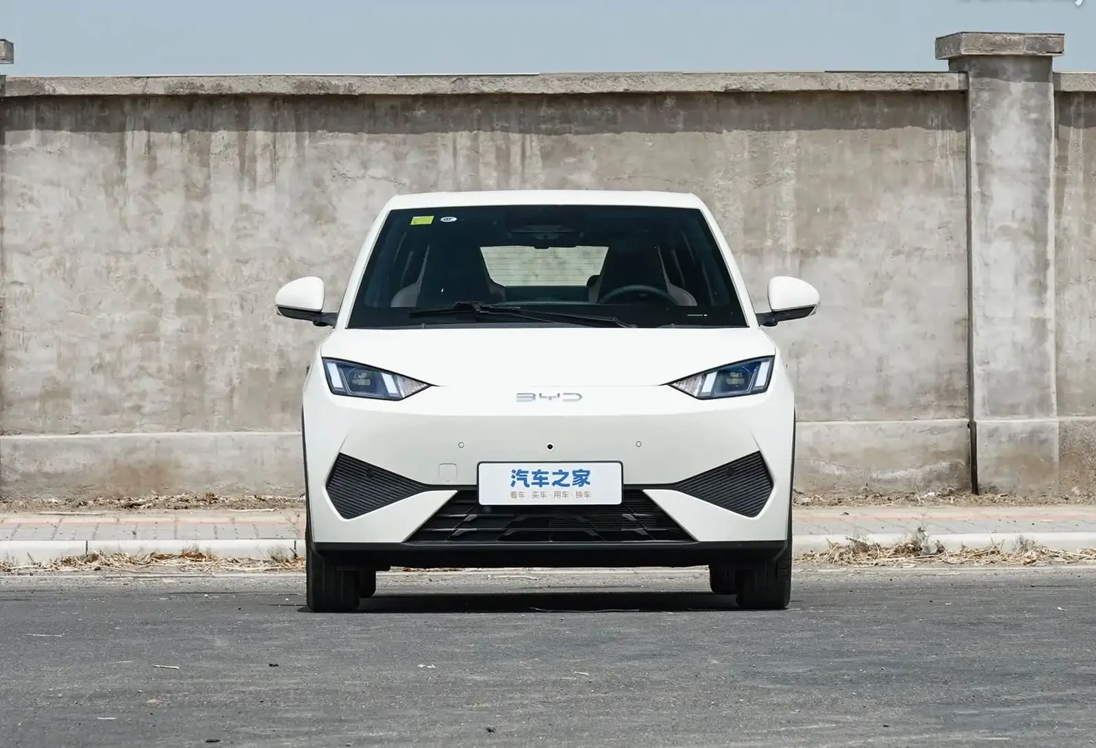 BYD Seagull, 2025