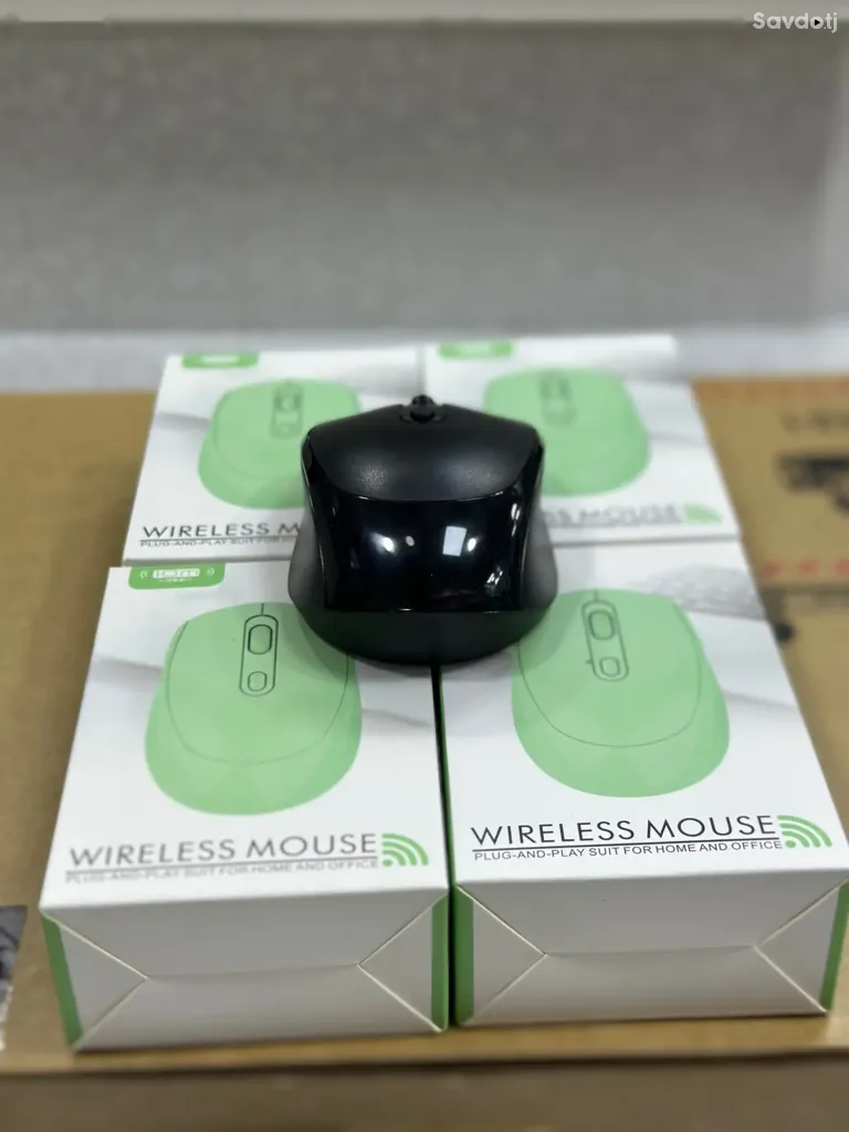 Мышка Plug