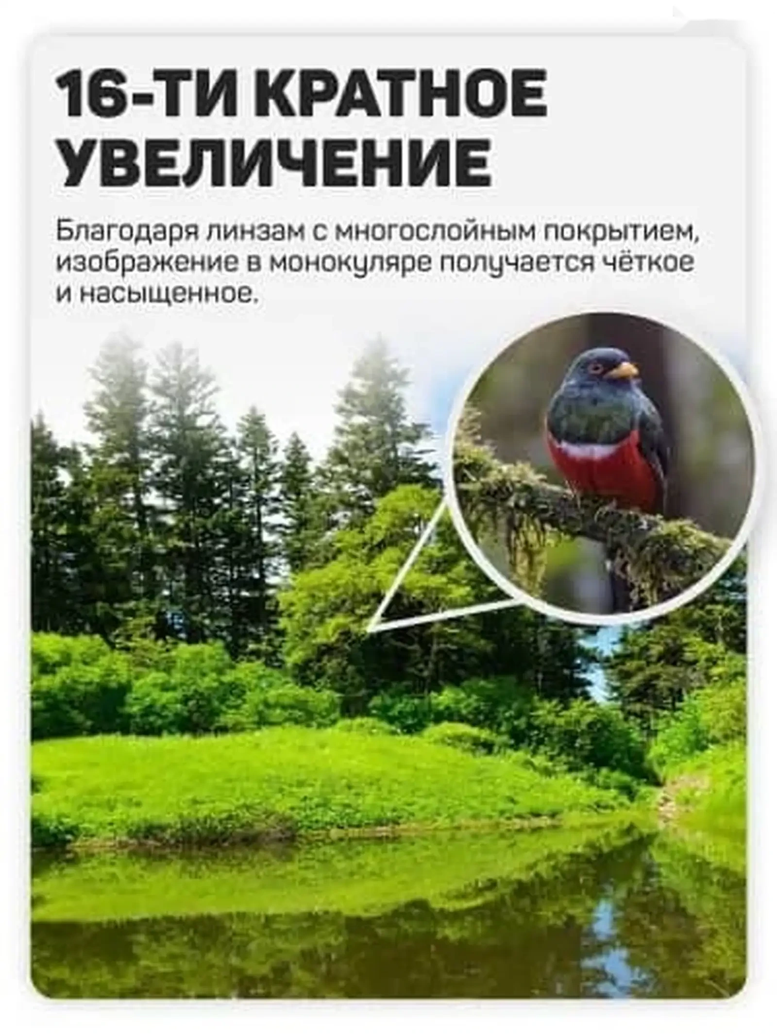 Монокуляр туристичикский