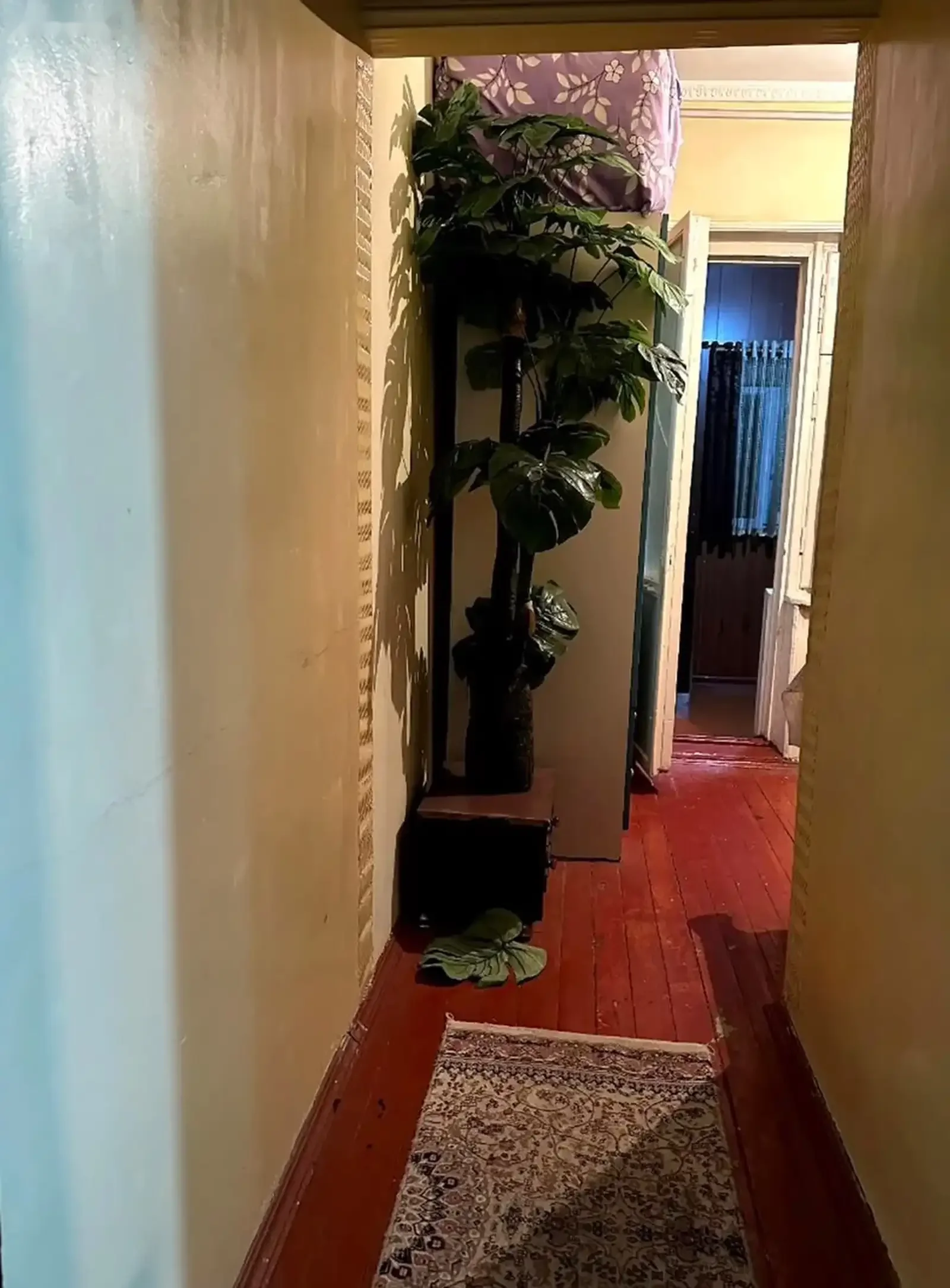 2-комн. квартира, 1 этаж, 50м², Сино — фото 8
