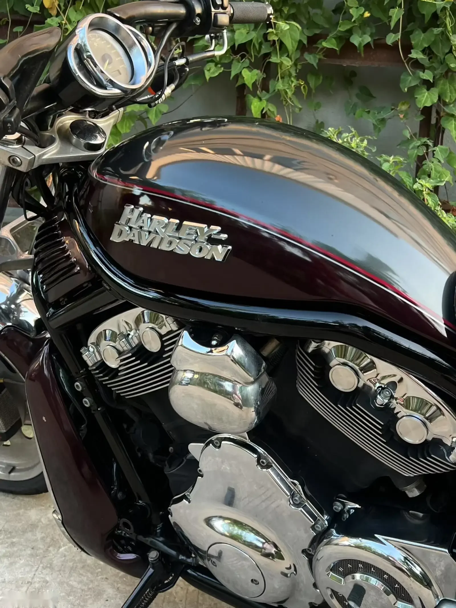 Мотоцикл Harley Davidson 1250 cc — фото 6