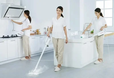Пароочиститель Xiaomi Deerma Steam Cleaner DEM-ZQ610