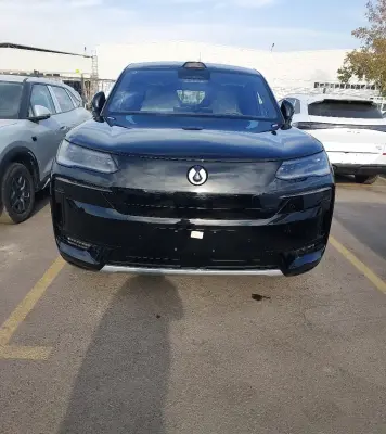 BYD Denza D9, 2025