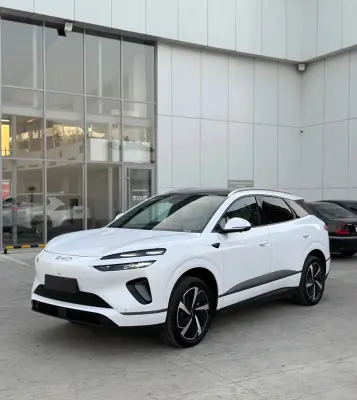 BYD Sea Lion 06, 2025