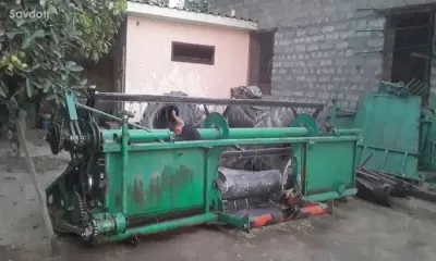 Нива эффект