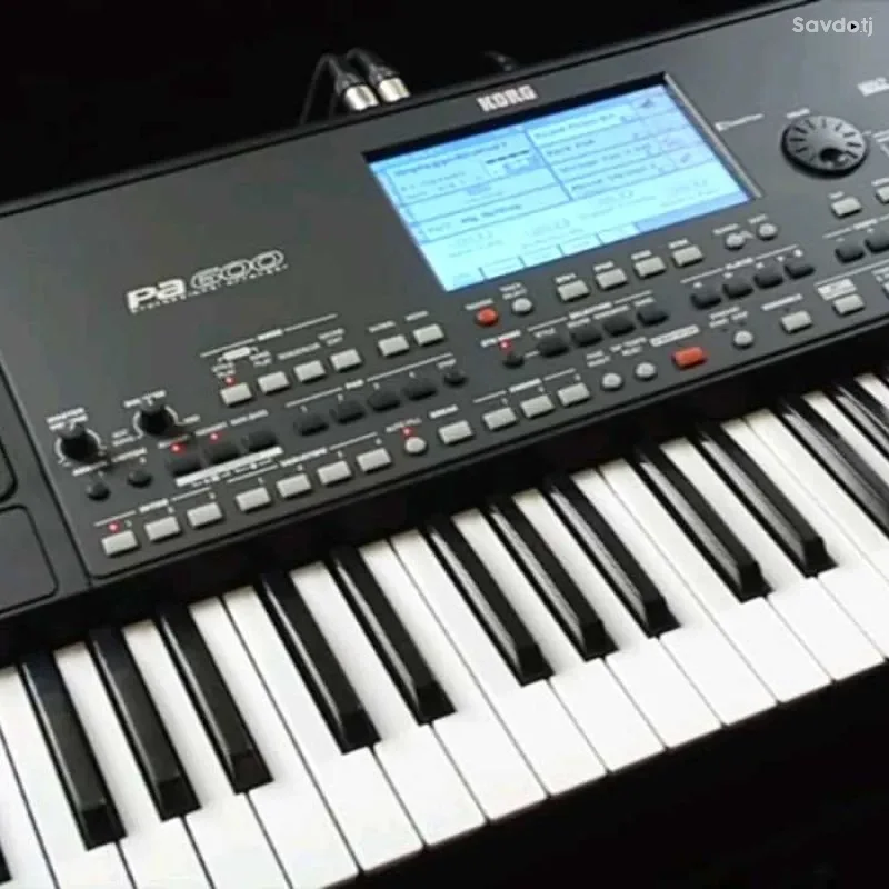 CORG pa 600