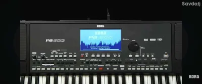 CORG pa 600