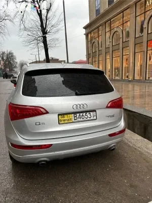 Audi Q5 2010