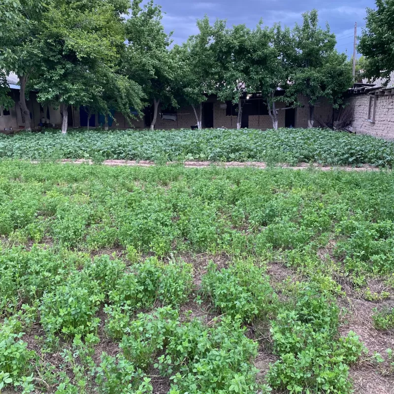 1 этажный, 2-комн. дом, 70 м², 13 соток, Вахш