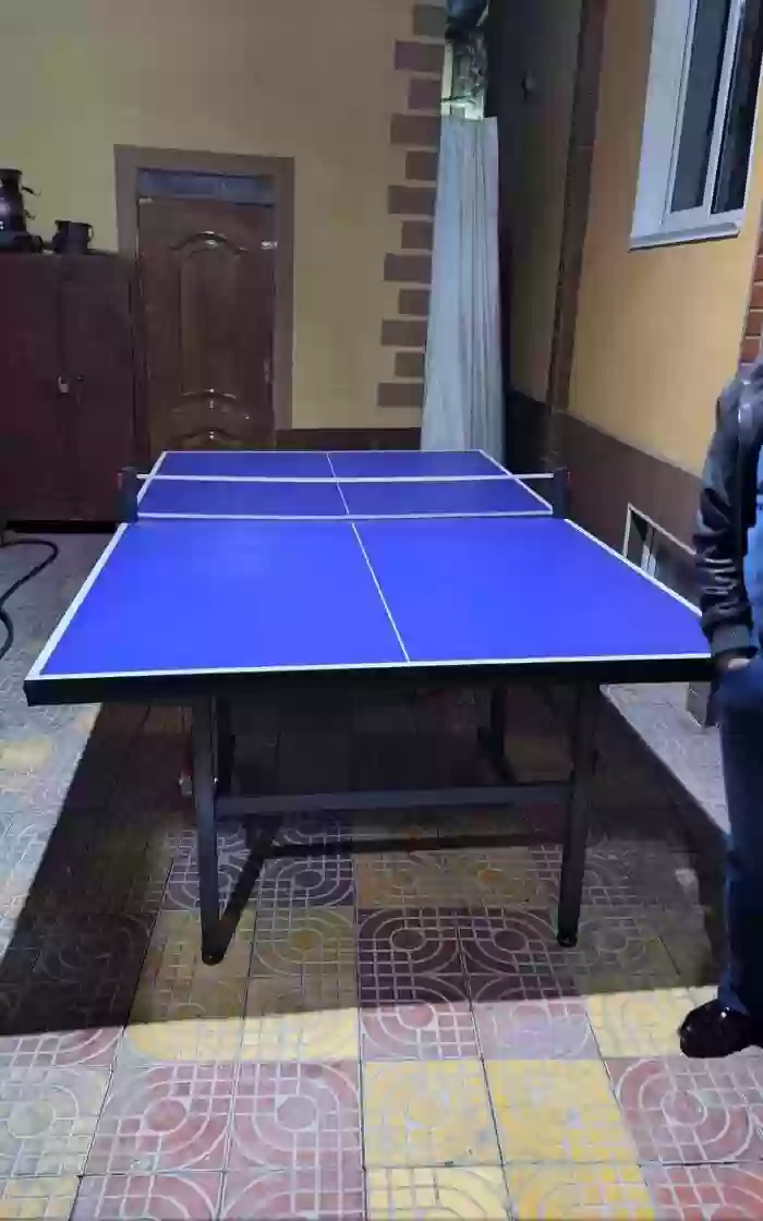 Теннисный стол 