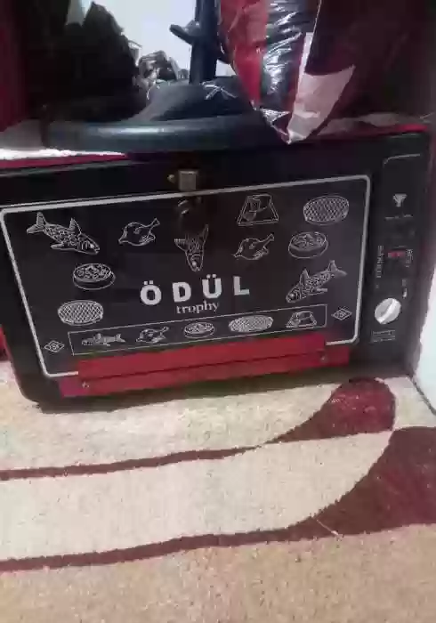 Духовка ODUL