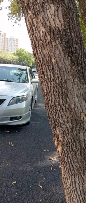 Toyota Camry 2010