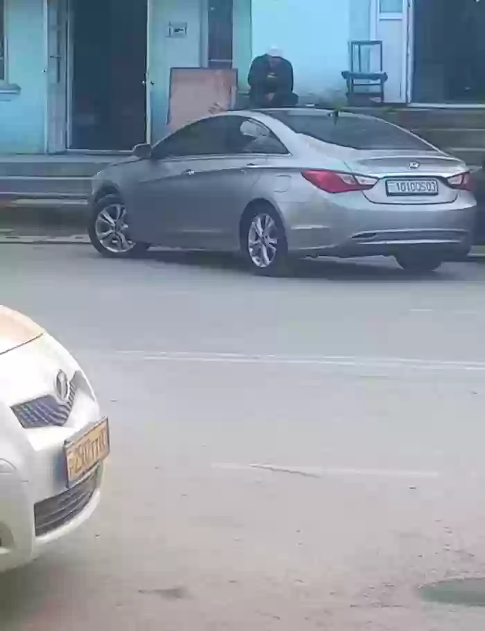 Hyundai Sonata 2010