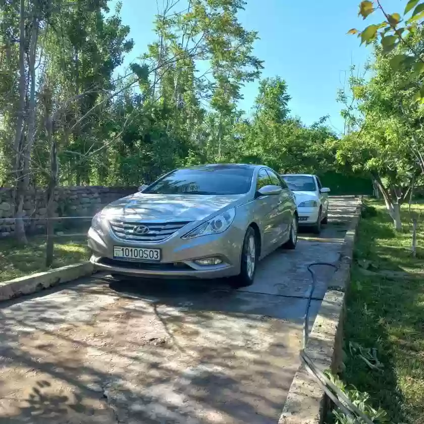 Hyundai Sonata 2010