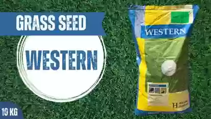 Тухми Газон Western 