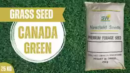 Тухми Газон Canada Green