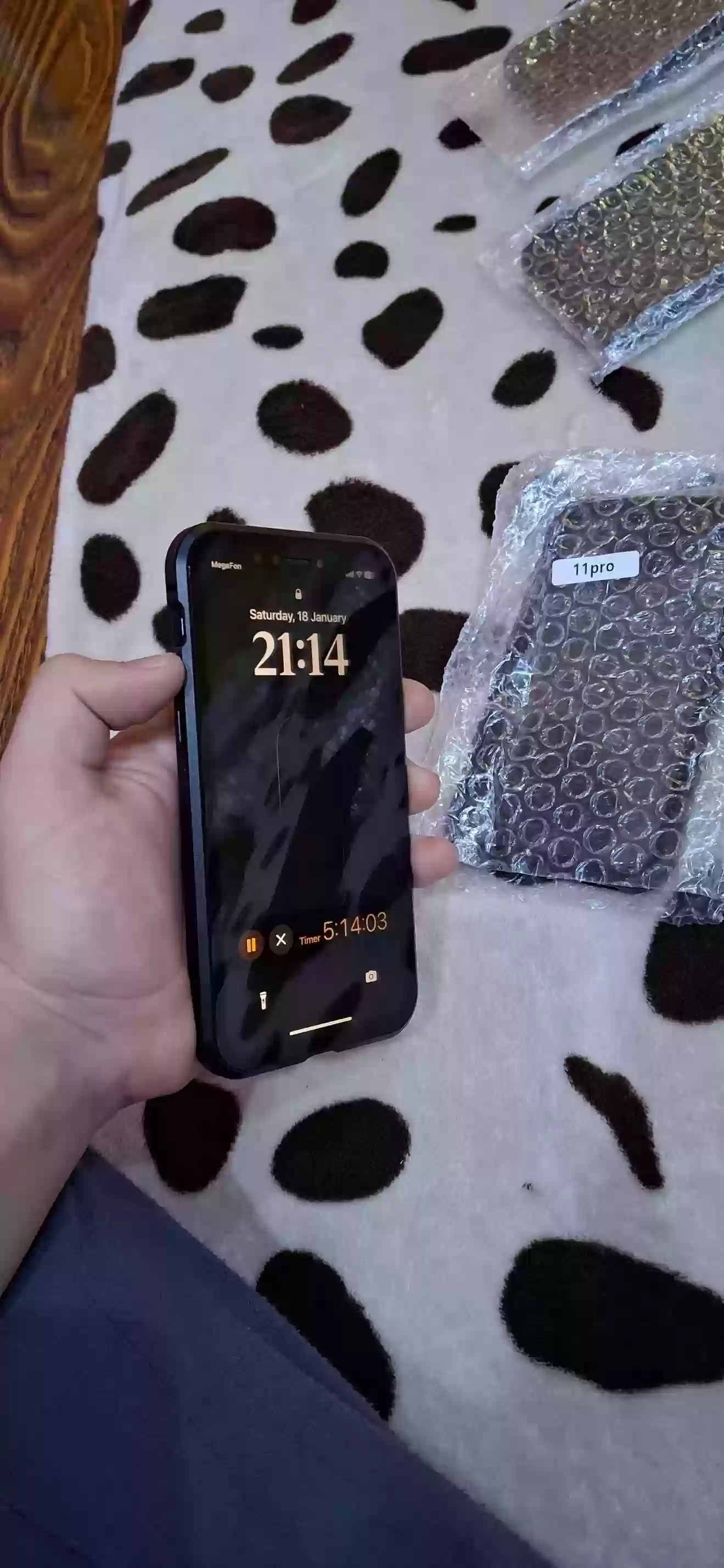 Apple case