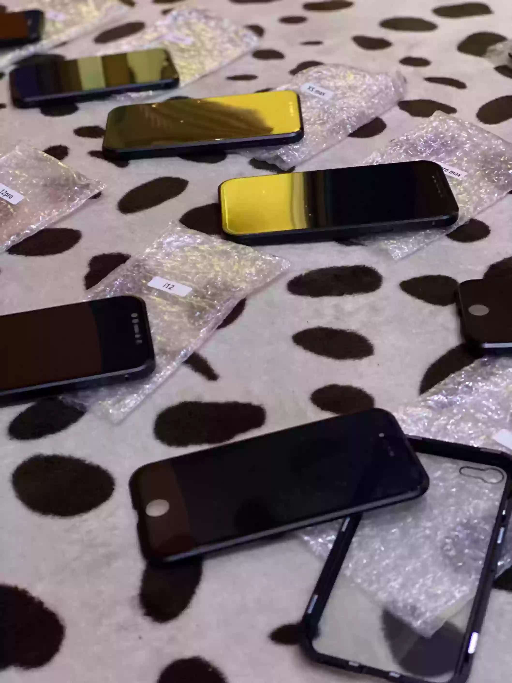 Apple case