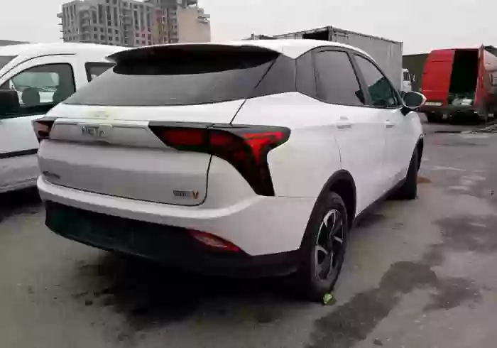 Neta V 2021