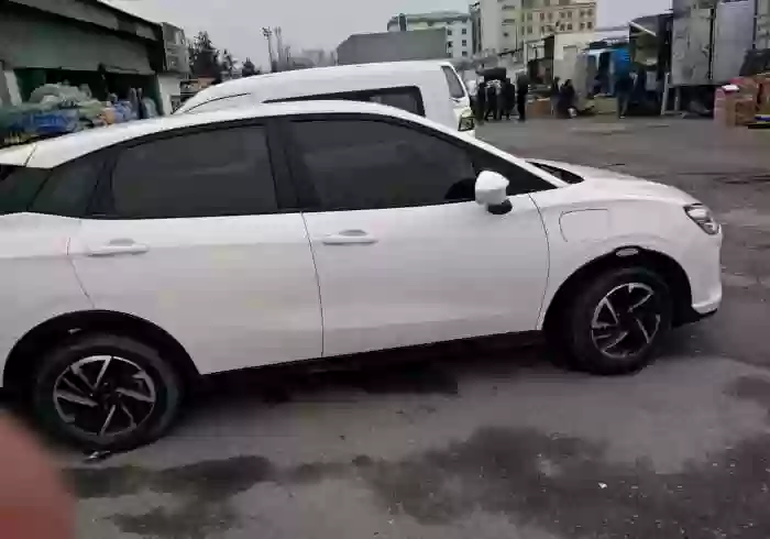 Neta V 2021