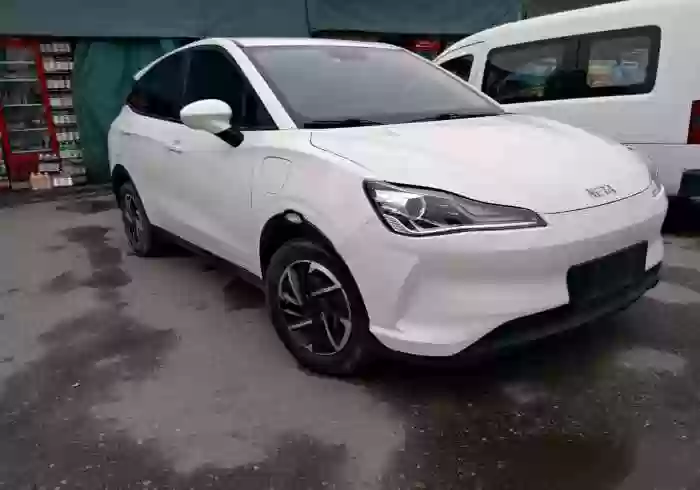Neta V 2021