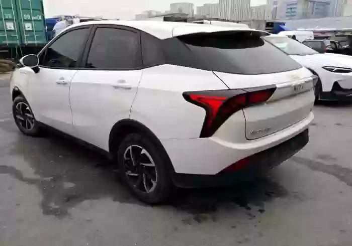 Neta V 2021