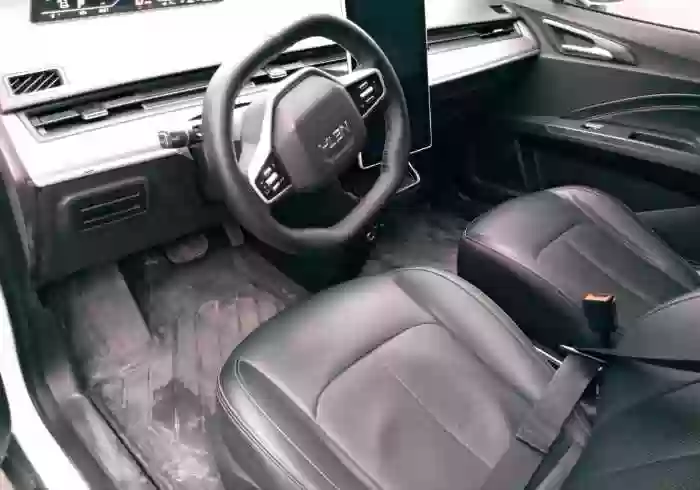 Neta V 2021