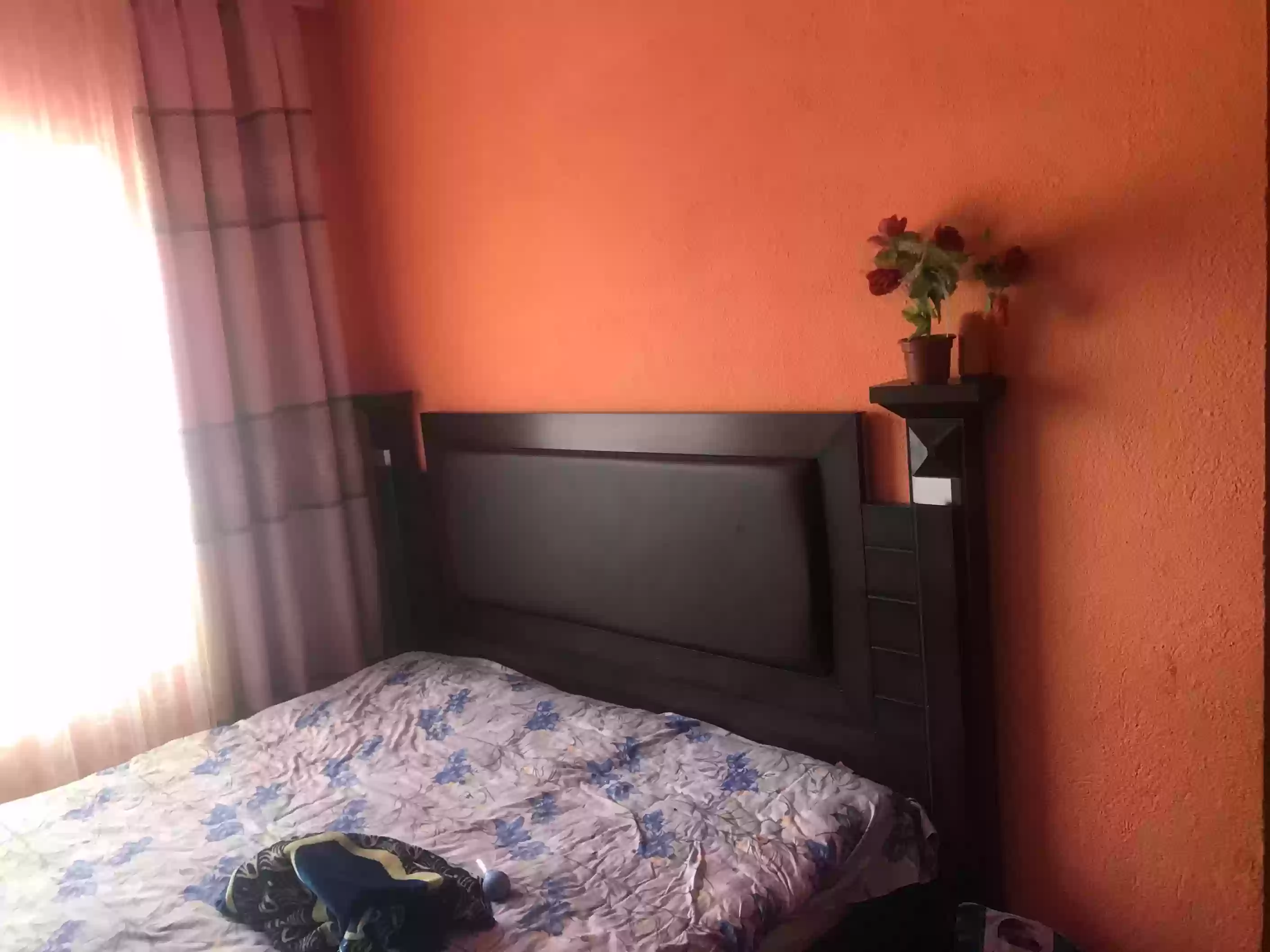 1 этажный, 3-комн. дом, 70 м², 2 соток, истиклол
